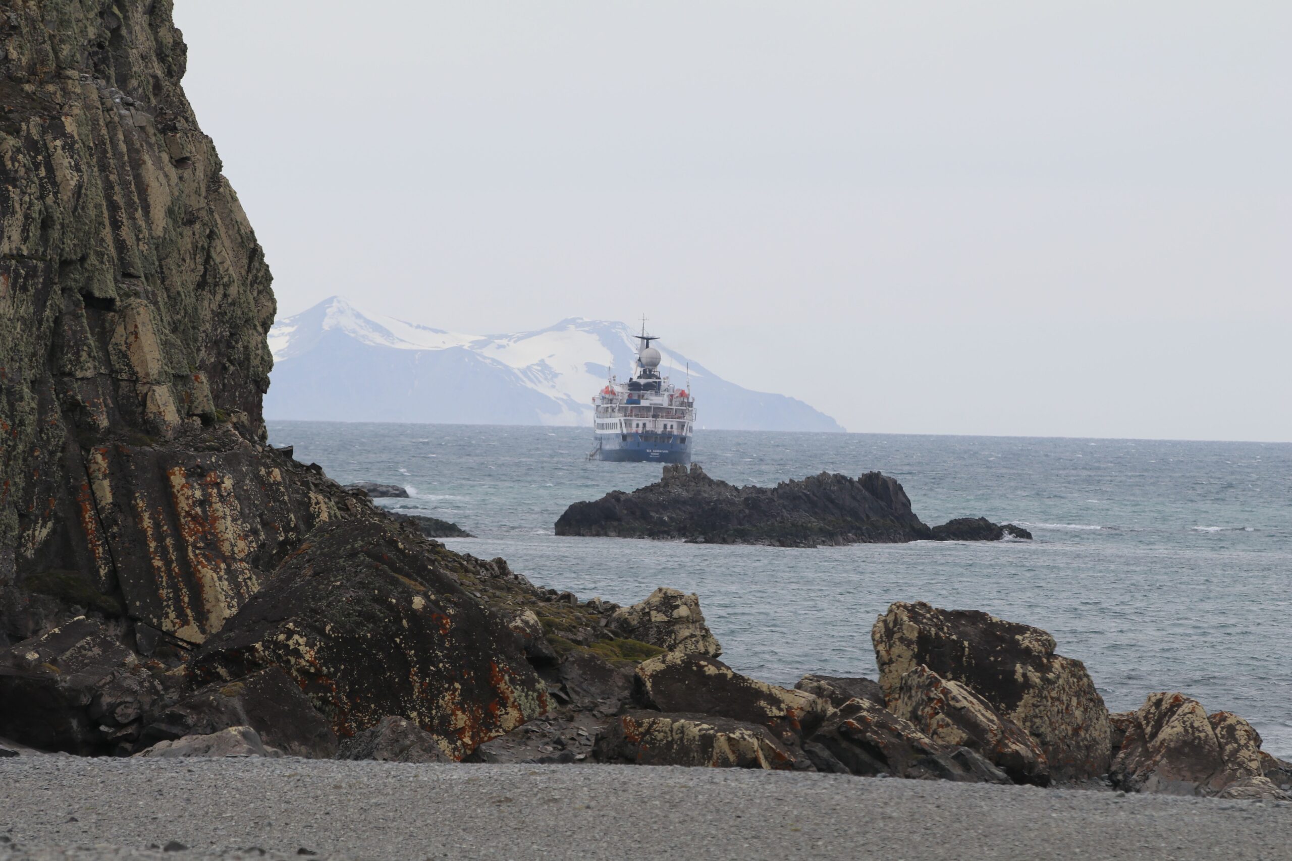 ant boat elephant island