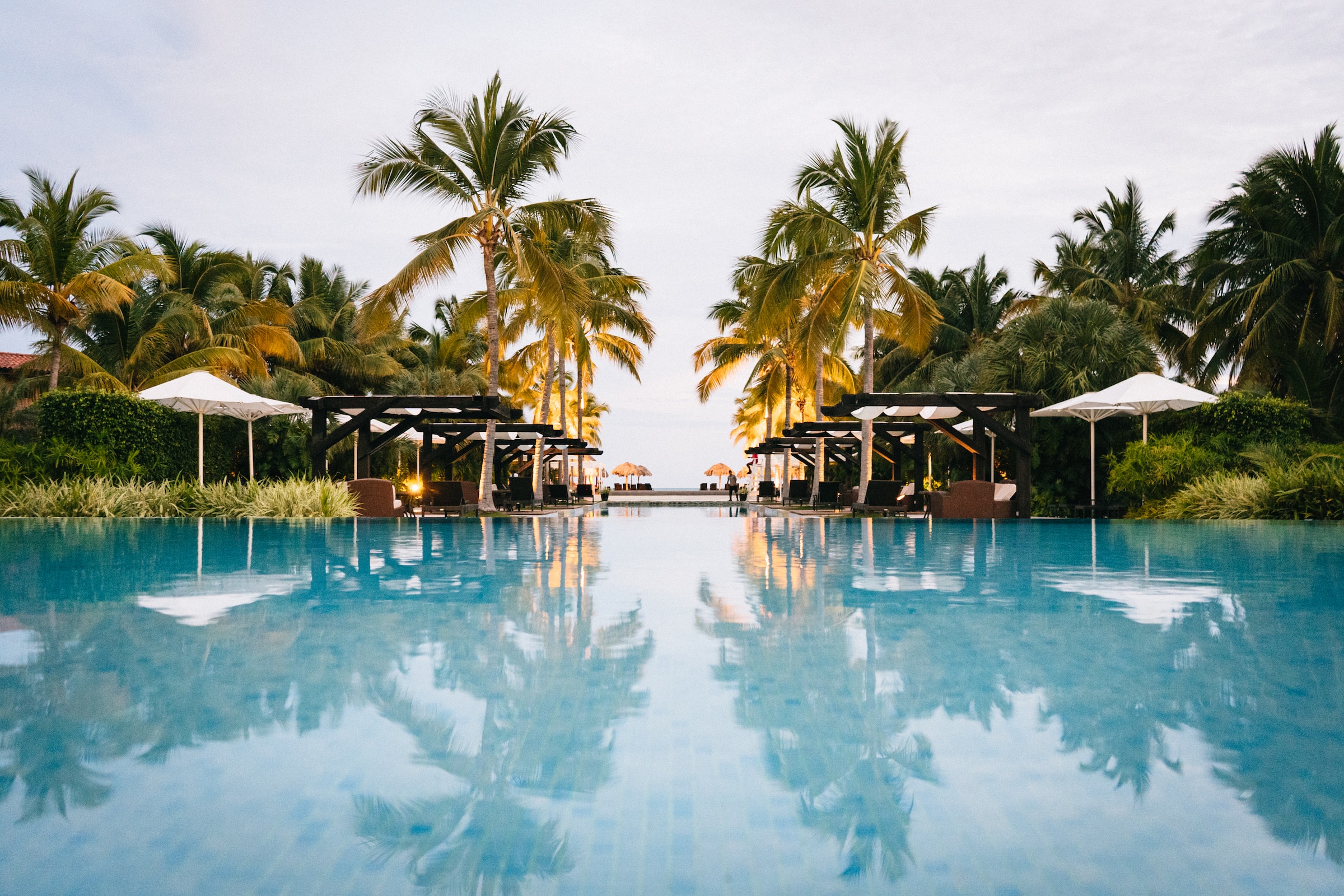 green palm trees near swimming pool in daytime