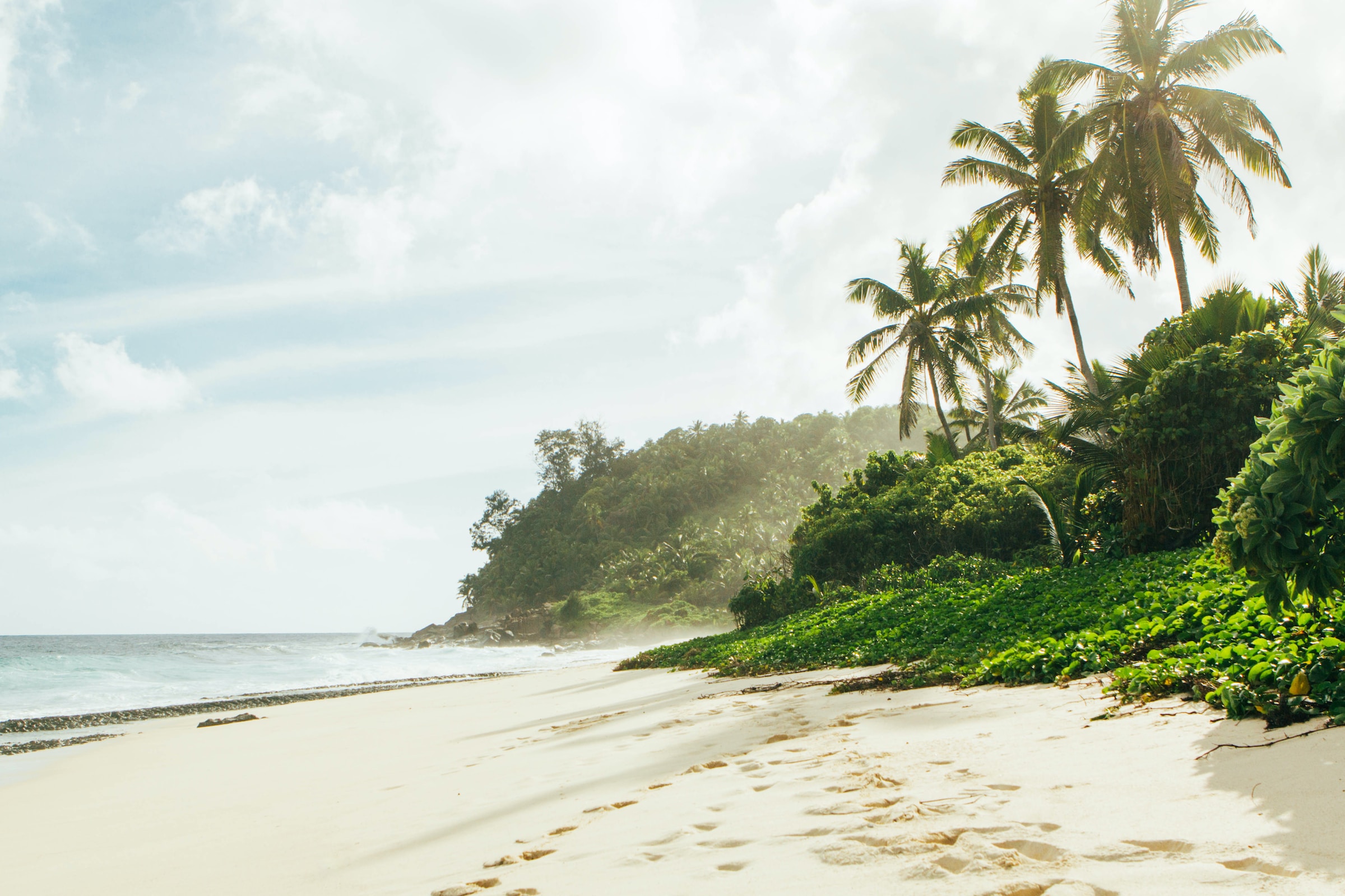 foot prints in sand with palm trees