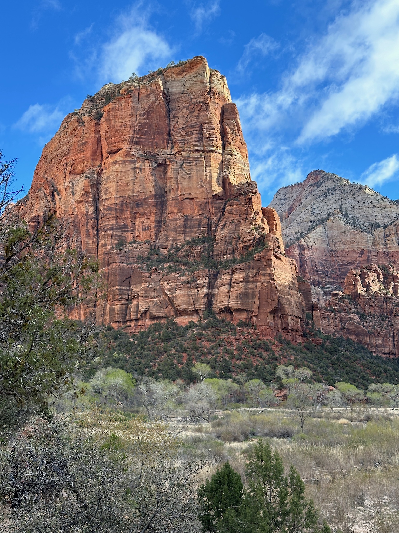 Zion National Park