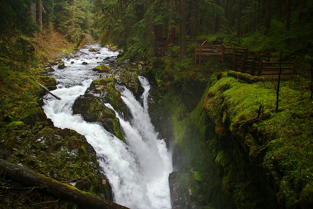 Olympic National Park, Washington - Attributed to Niagara66 using Creative Commons copy right. 