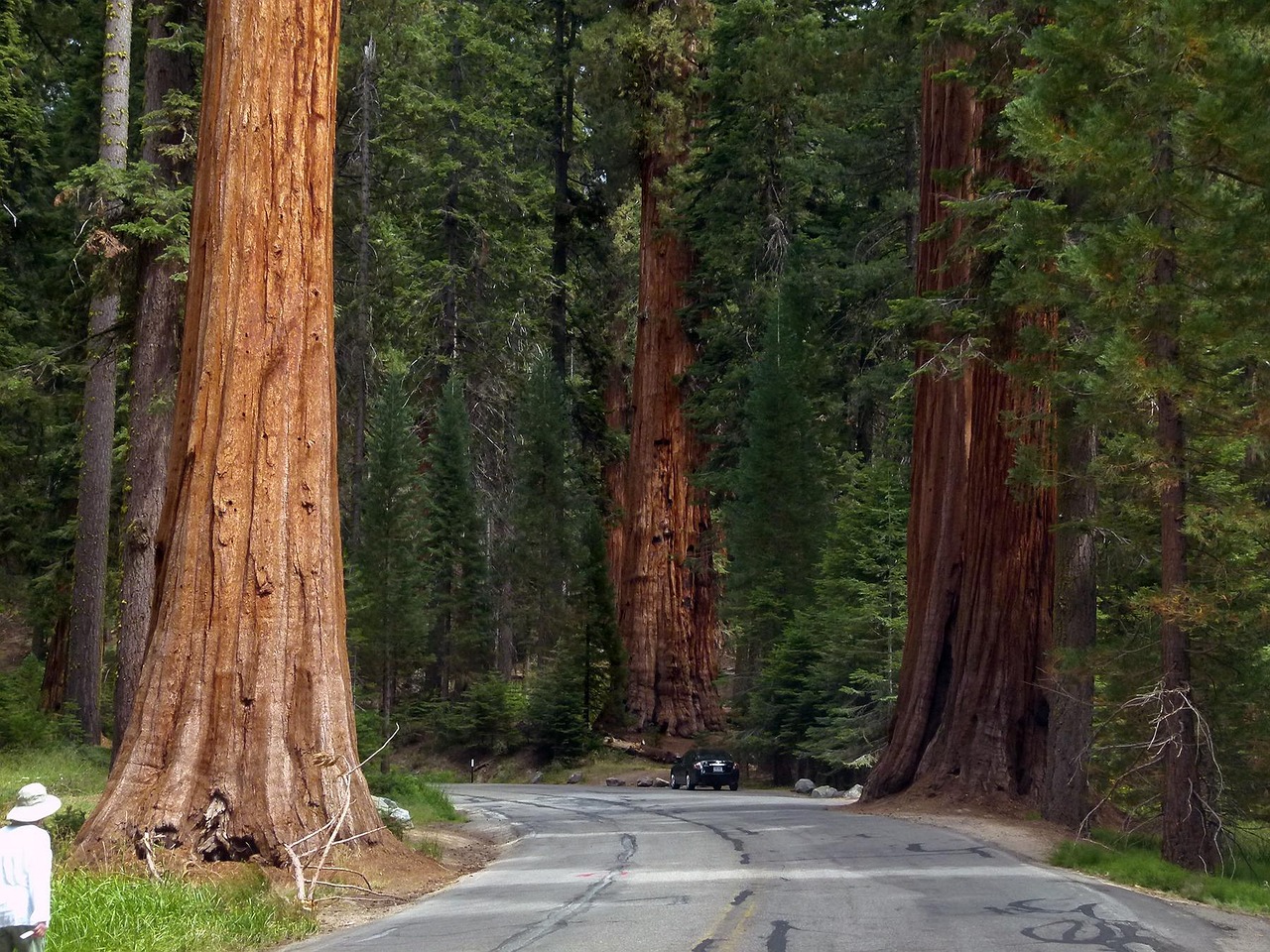 Yosemite National Park, California
